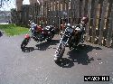 My Maxim Bob's Magna